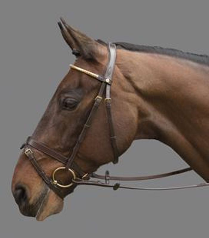 Mountain Horse Gladstone Hodelag