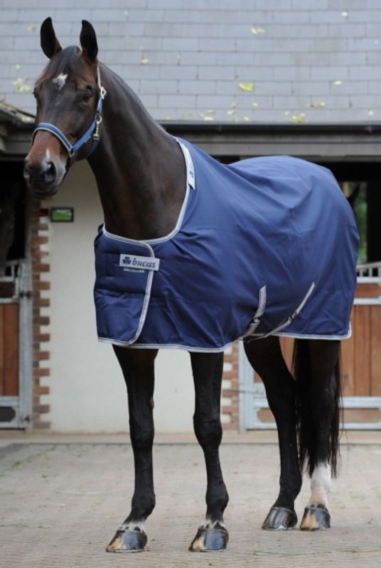 Bucas Celtic Stable Extra