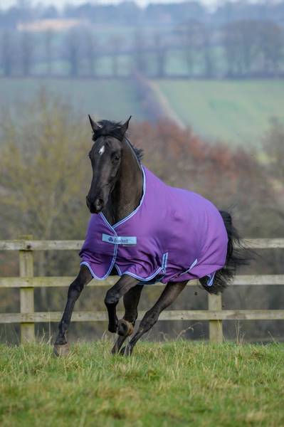 Bucas Freedom Turnout 150 Gram,Mini