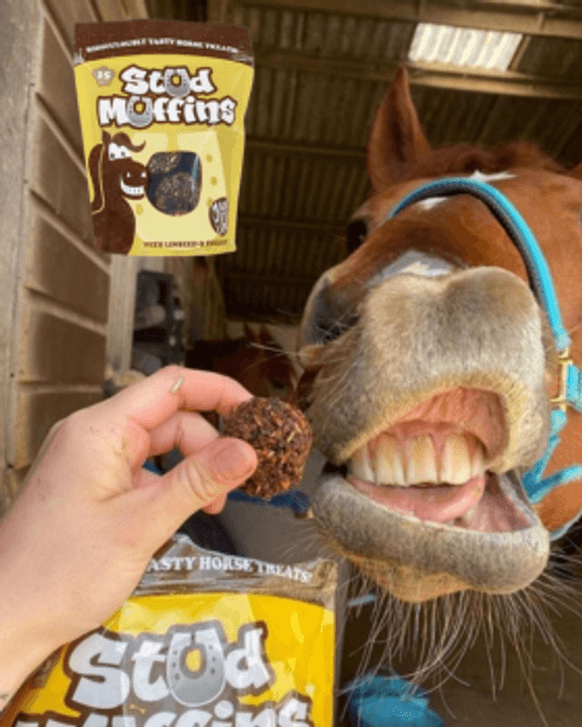 Hovedbilde Stud Muffind 45 Biter 