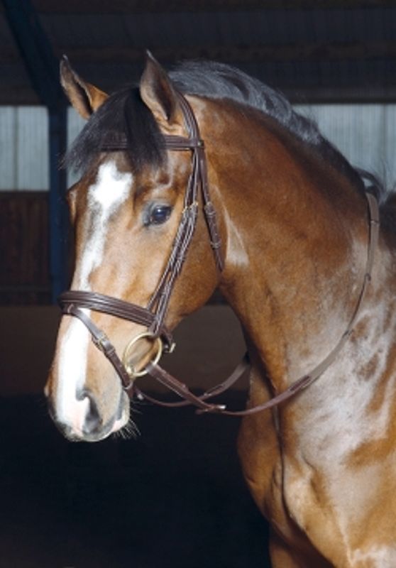 Optimum Grace Hodelag