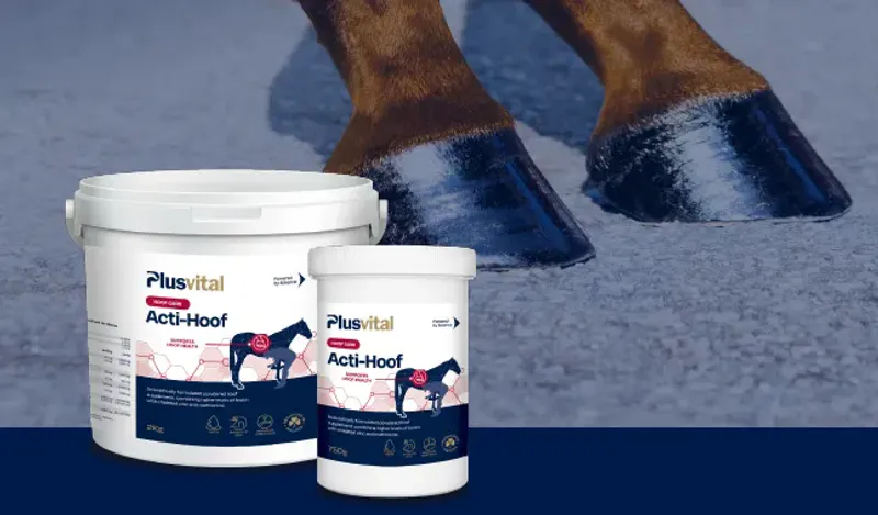 Plus Vital Acti Hoof 750 Gram