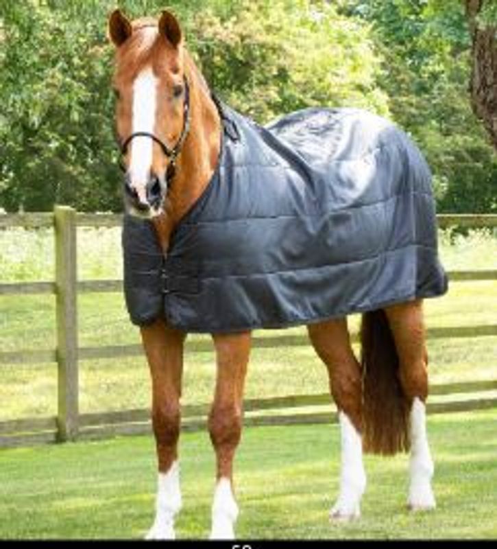 Premier Equine Liner 100 Gram
