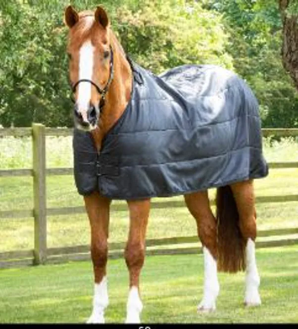 Hovedbilde Premier Equine Liner 100 Gram