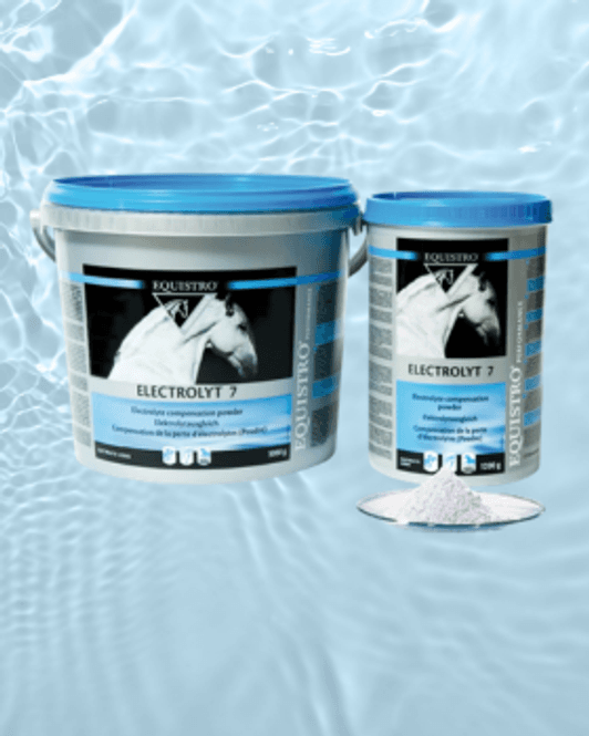 Hovedbilde Equistro Electrolyt 7