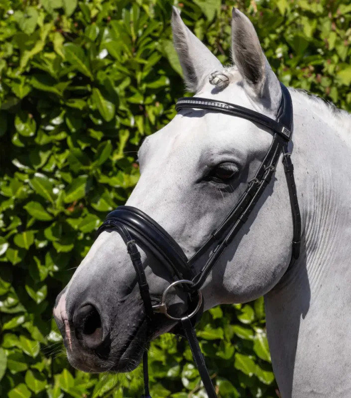 Premier Equine, Castello Anatomisk Hodelag