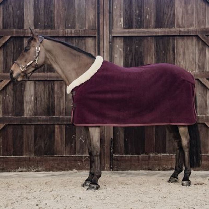 Kentucky Heavy Fleece Show Rug