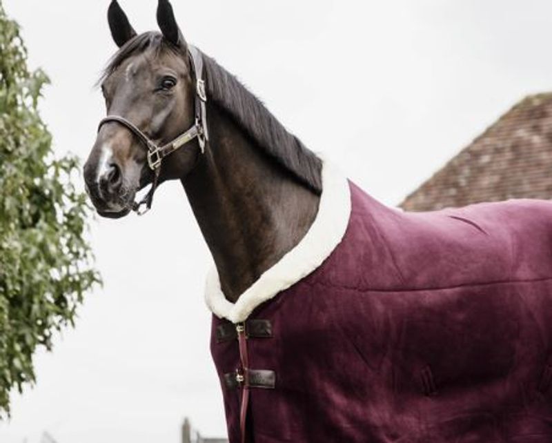 Kentucky Heavy Fleece Show Rug