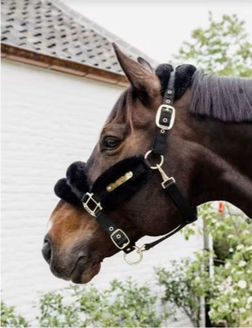 Hovedbilde Kentucky Sheepskin/Nylon Grime Soft