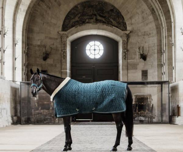 Kentucky Showrug Velvet