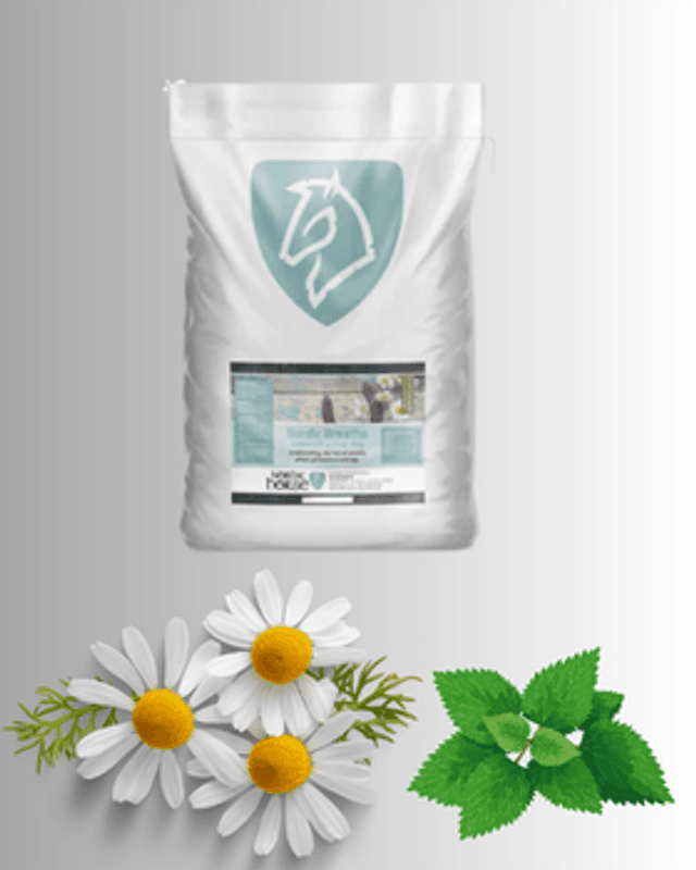 Nordic Breathe  2 Kg