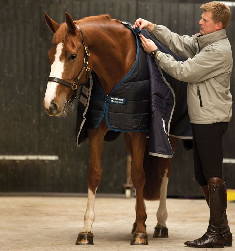 Horseware Liner 300 Gram