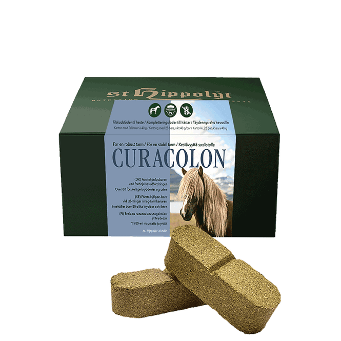 Hovedbilde St.Hippolyt Curacolon