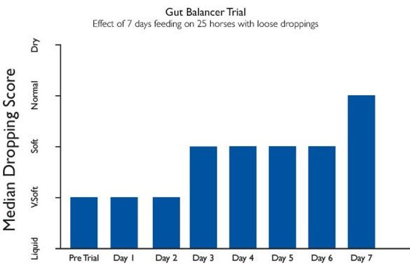 Science Supplements, Gut Balancer Express, 588 Gram 