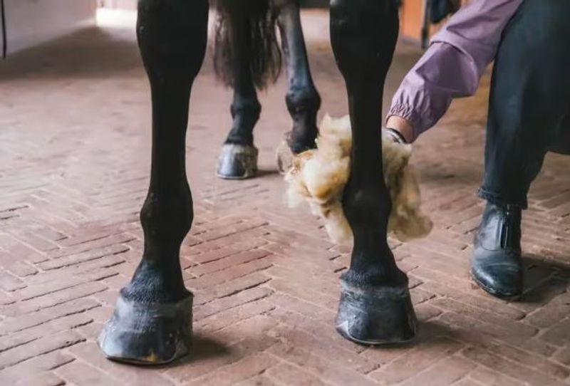 Grooming DeLuxe, Therapeutic Wool