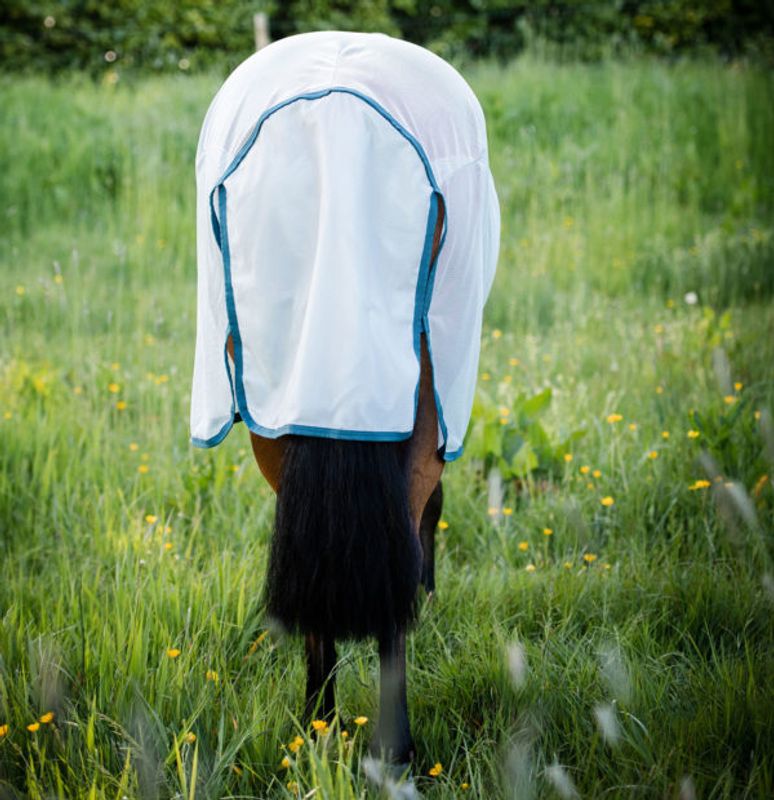 Horseware Amigo Ameco Bug Rug